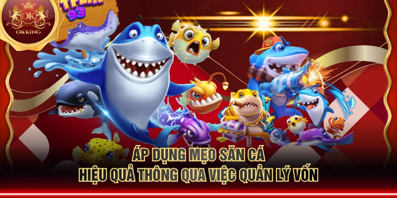 Áp dụng mẹo săn cá hiệu quả thông qua việc quản lý vốn